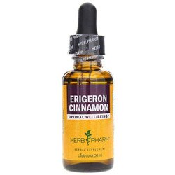 Erigeron Cinnamon 1