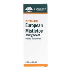 European Mistletoe Young Shoot