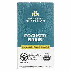 Focused Brain 1