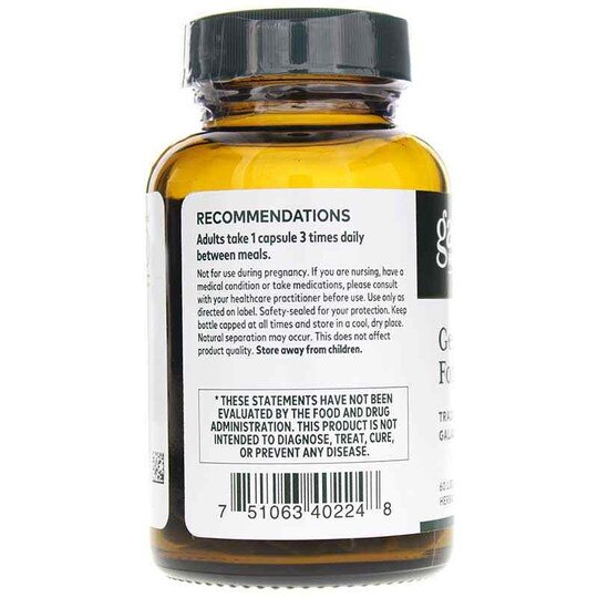 Gentle Lactation Formula, 60 Liquid Phyto Caps, GPS