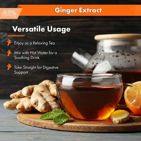 Ginger Extract, 2 Oz, BTN