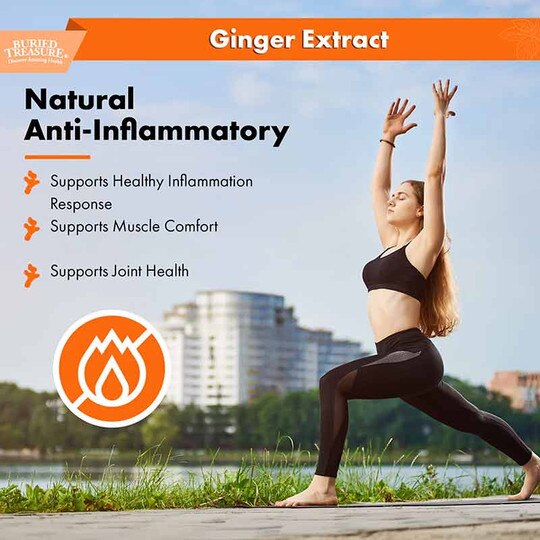 Ginger Extract, 2 Oz, BTN