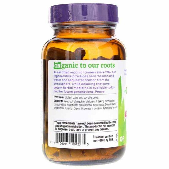 Ginkgo, 90 Vegan Capsules, OWH