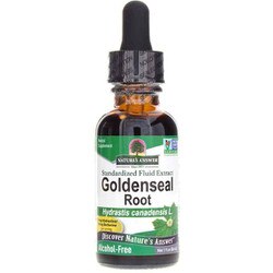 Goldenseal Extract Alcohol-Free
