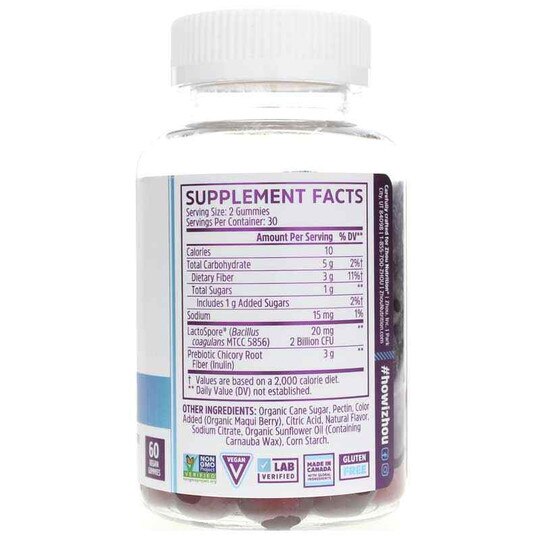 Gut Guru Gummies, 60 Vegan Gummies, ZHO