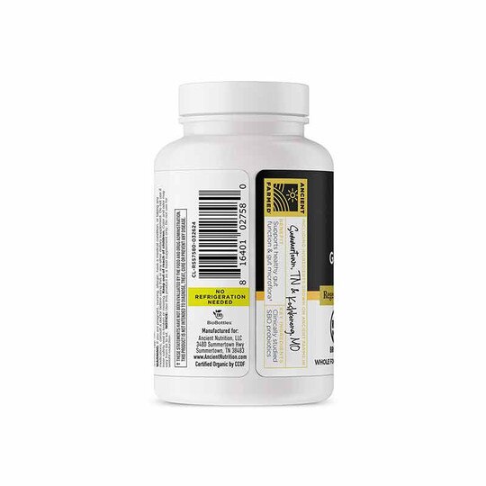 Gut Recovery Probiotics Shelf Stable, 60 Capsules, ANN