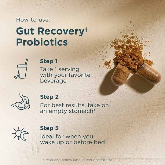Gut Recovery Probiotics Shelf Stable, 60 Capsules, ANN