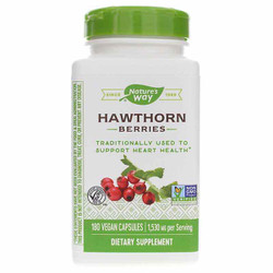 Hawthorn Berries 1