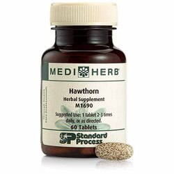 Hawthorn