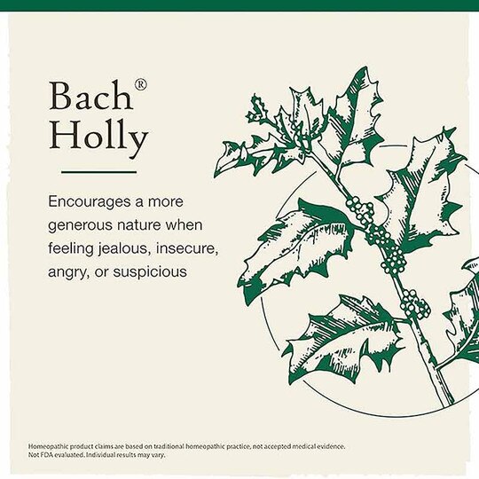Holly Flower Essence, .7 Oz, BFR