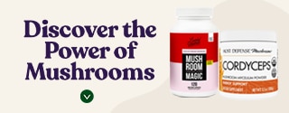Discover the Power of Mushrooms