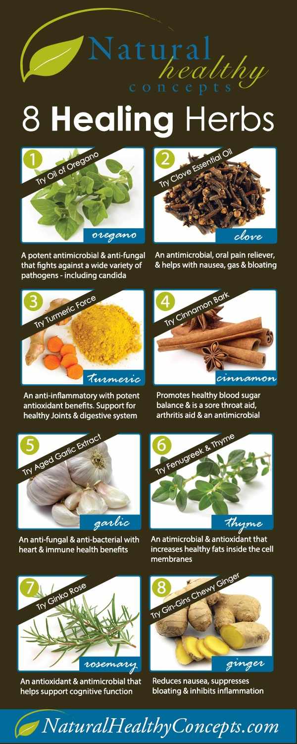 healing herbs infographic