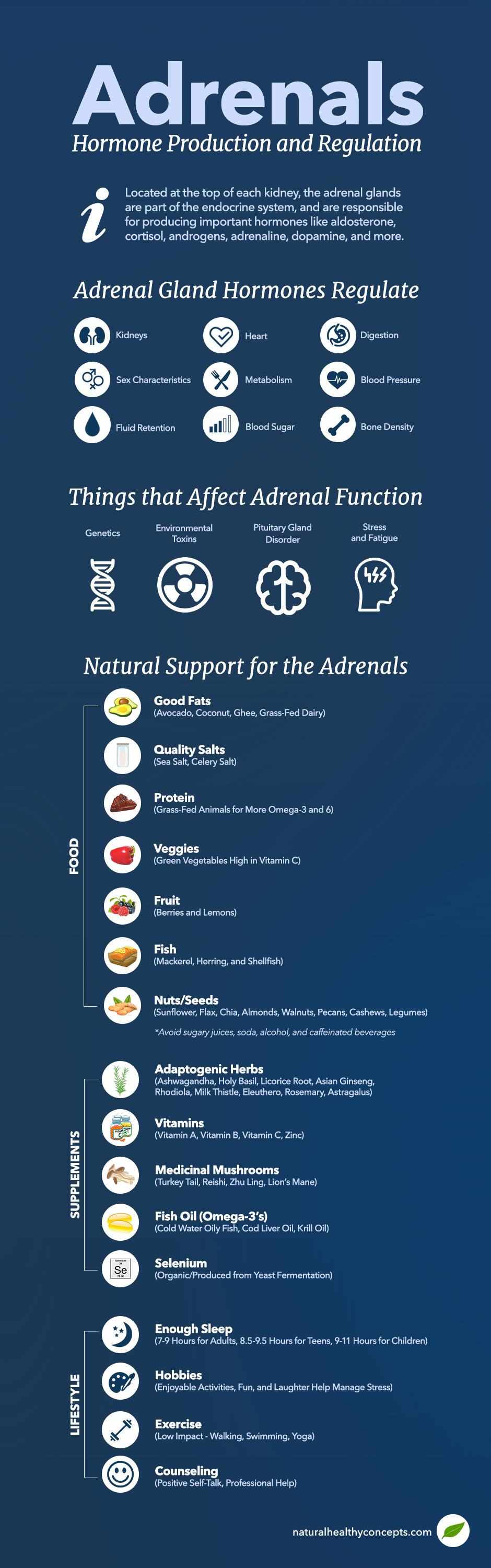 adrenal support infographic