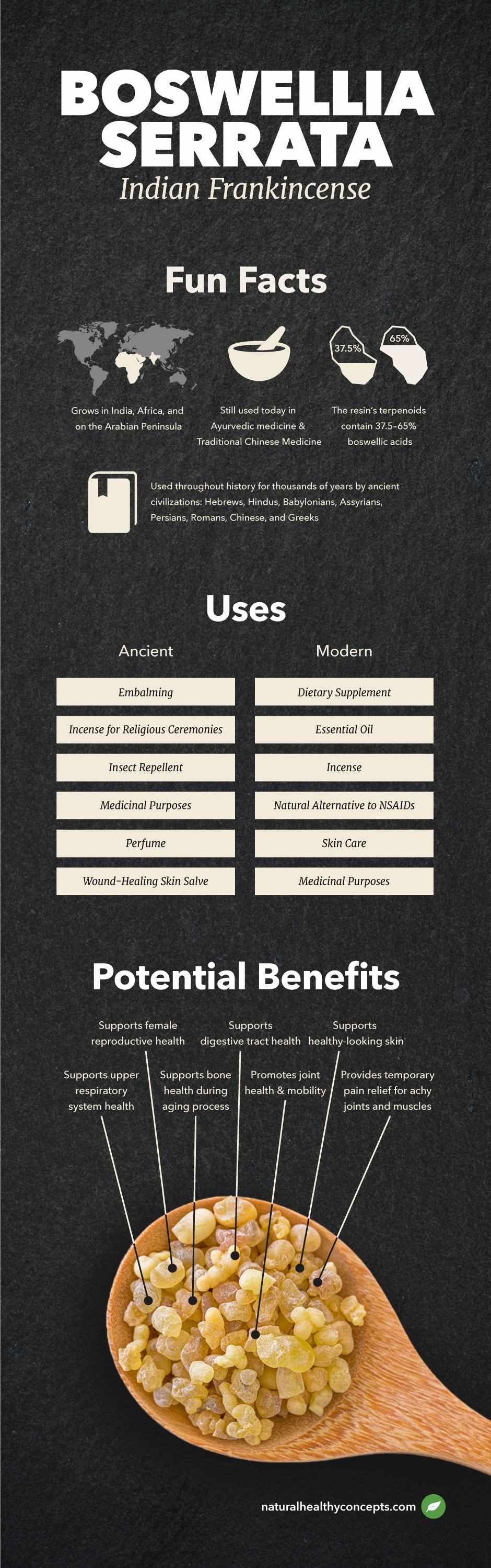 boswellia infographic