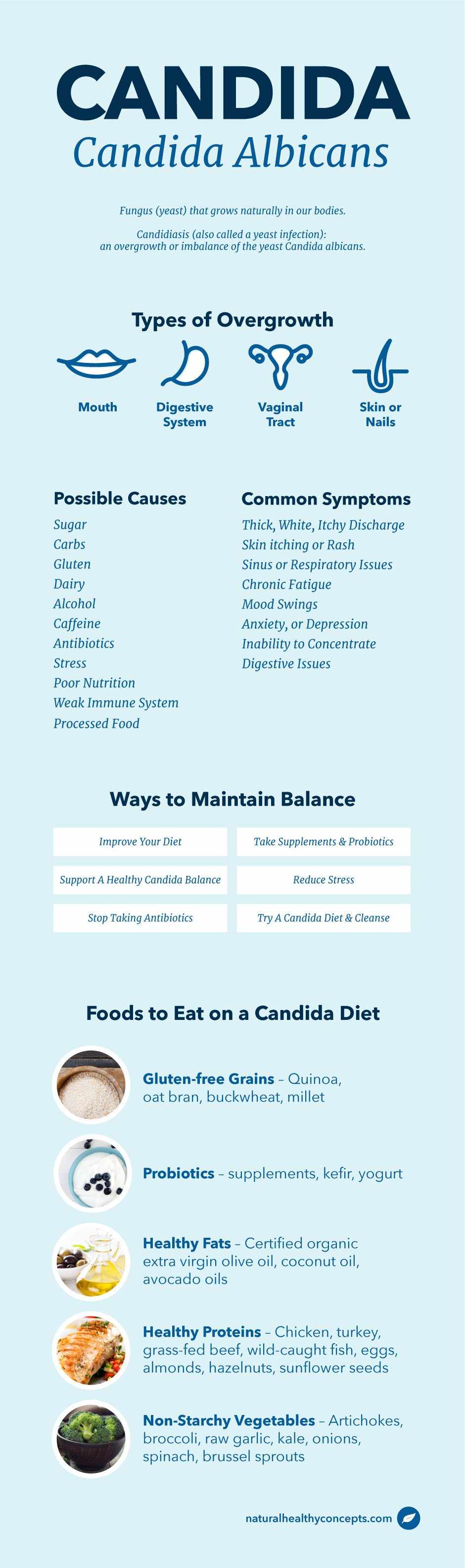 candida infographic