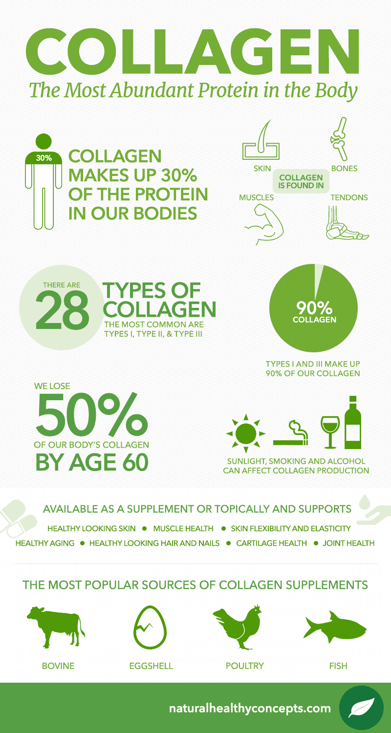 collagen infographic