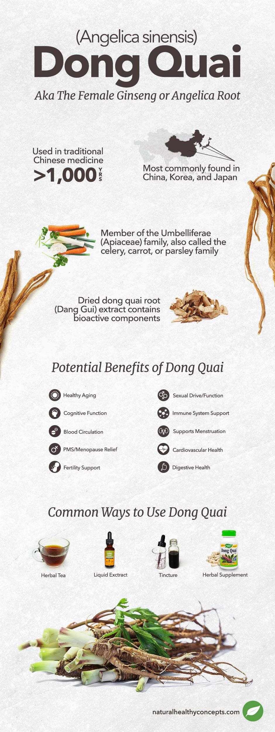 dong quai infographic