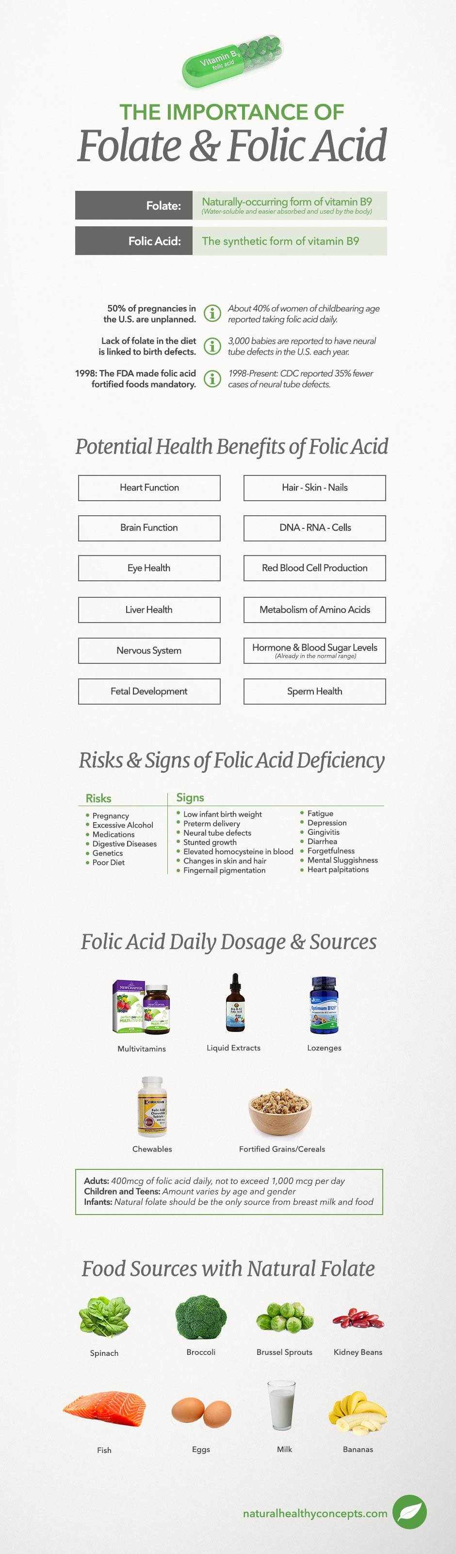 Реферат: Folic Acid Essay Research Paper FOLIC ACID