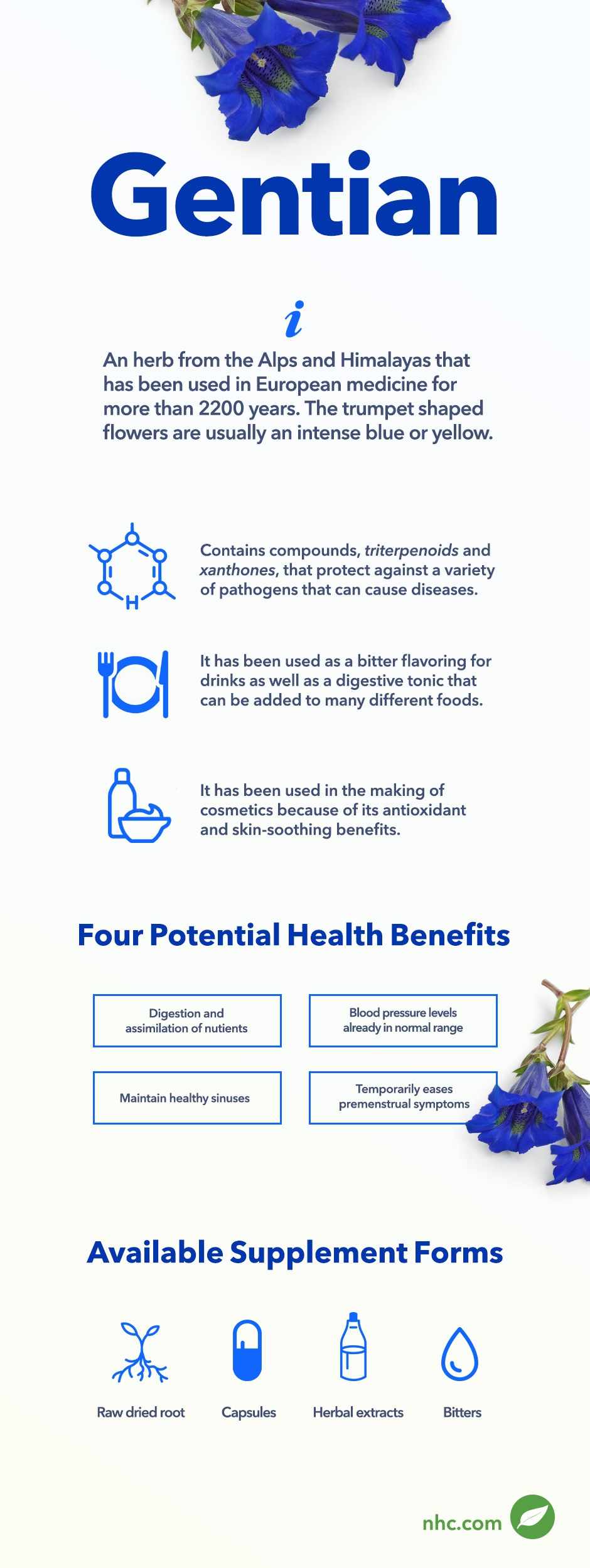 gentian infographic