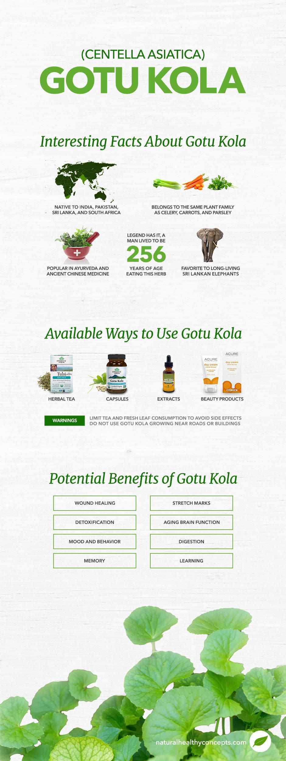 gotu kola infographic