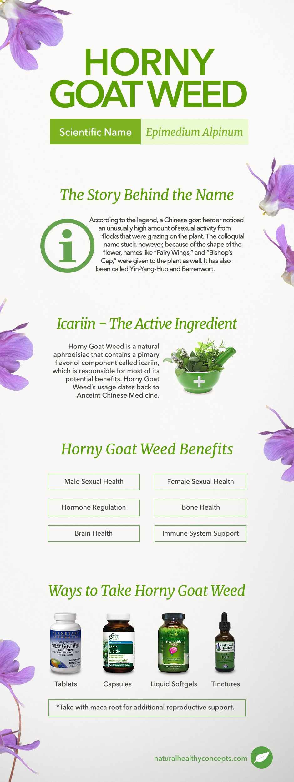 horny goat weed infographic