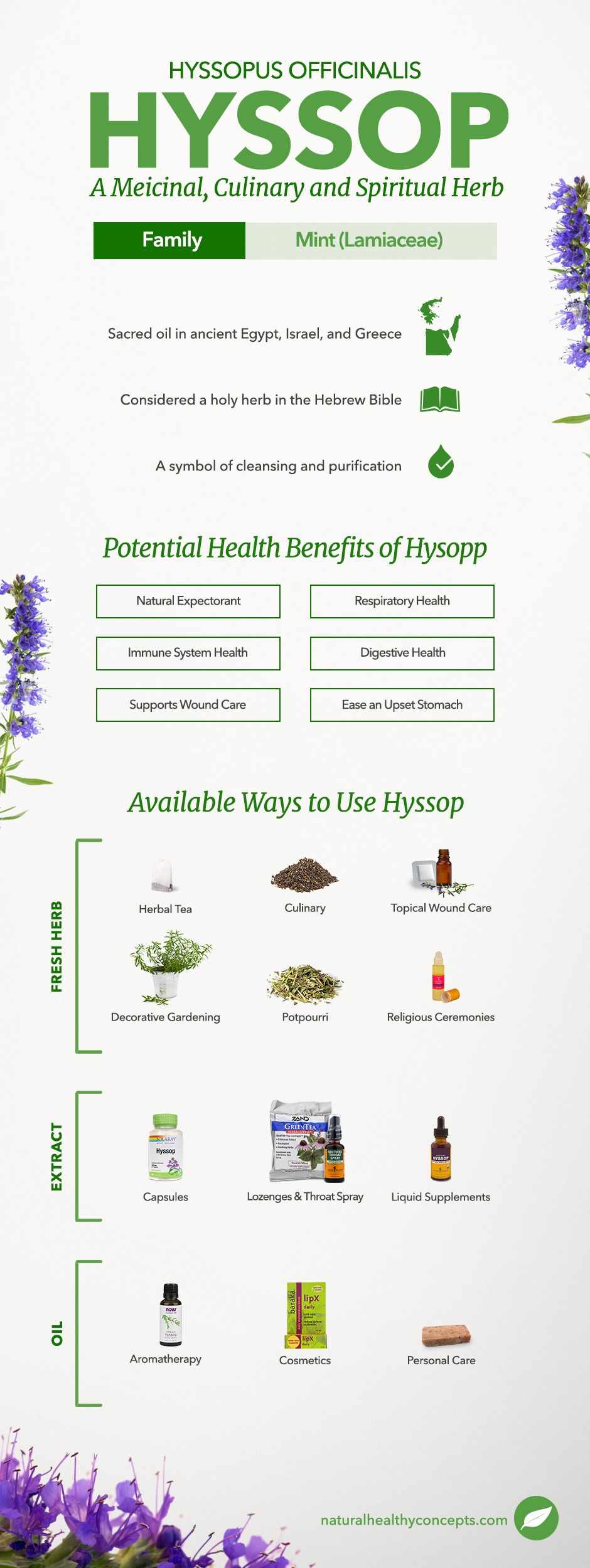 hyssop infographic