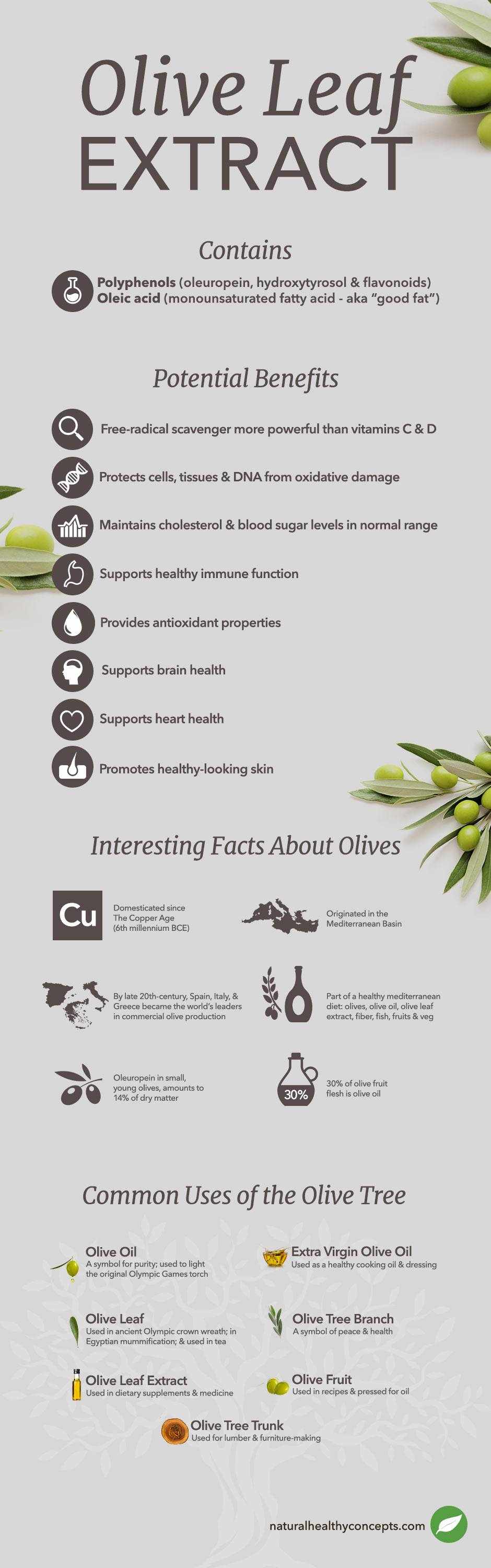 what is olive leaf