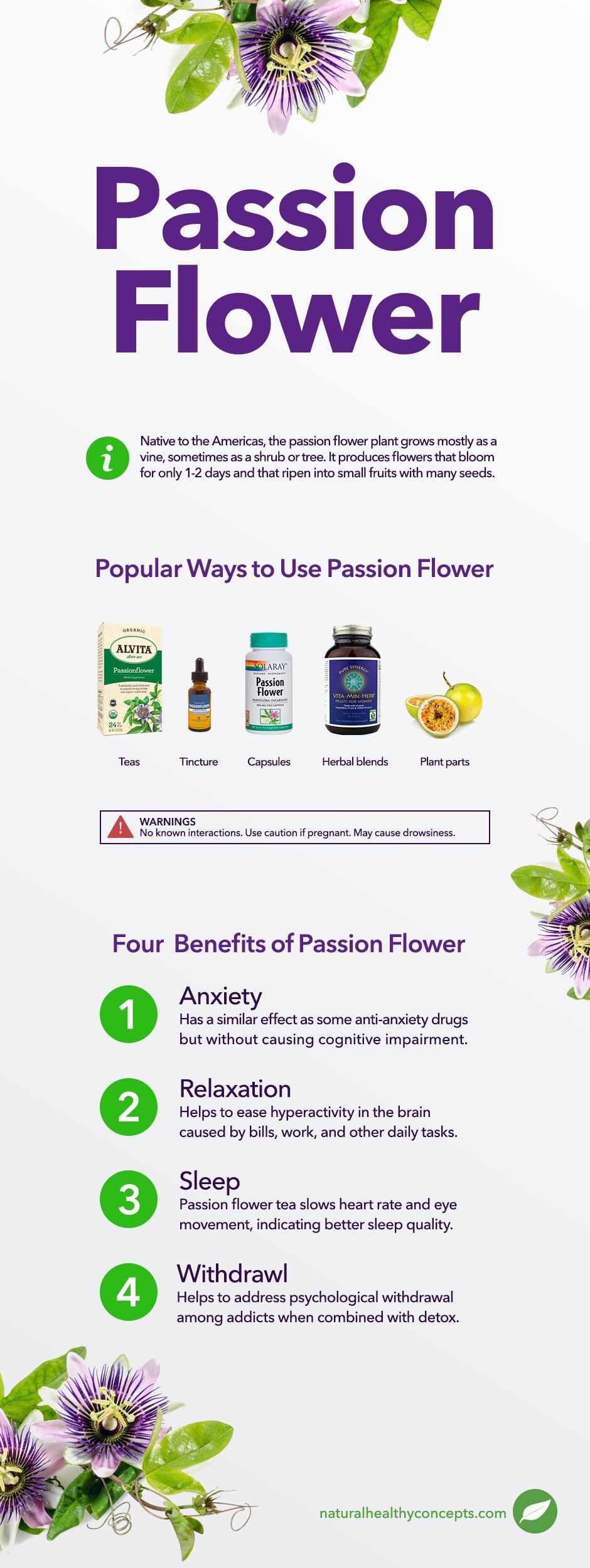 passion flower infographic