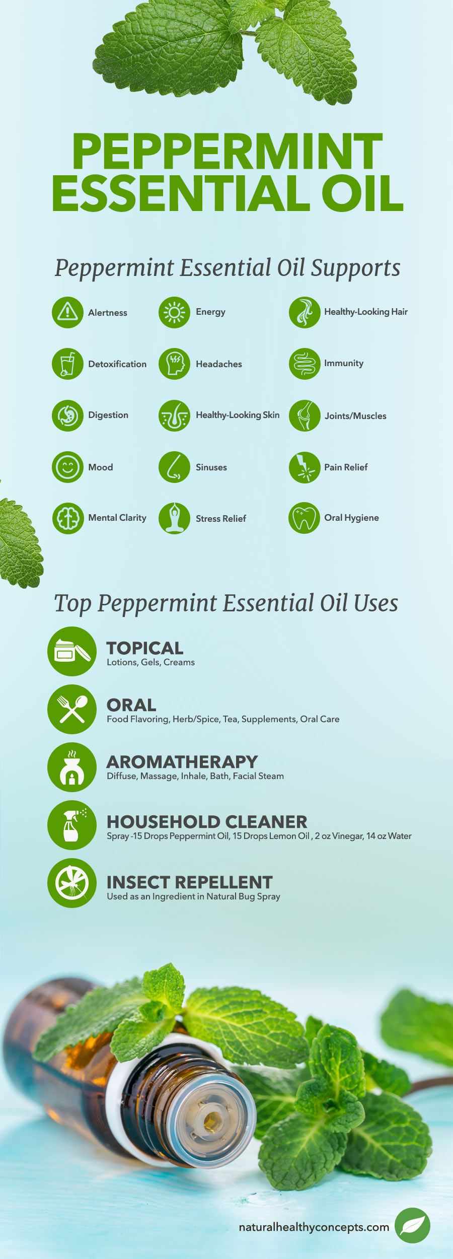peppermint essential oil infographic