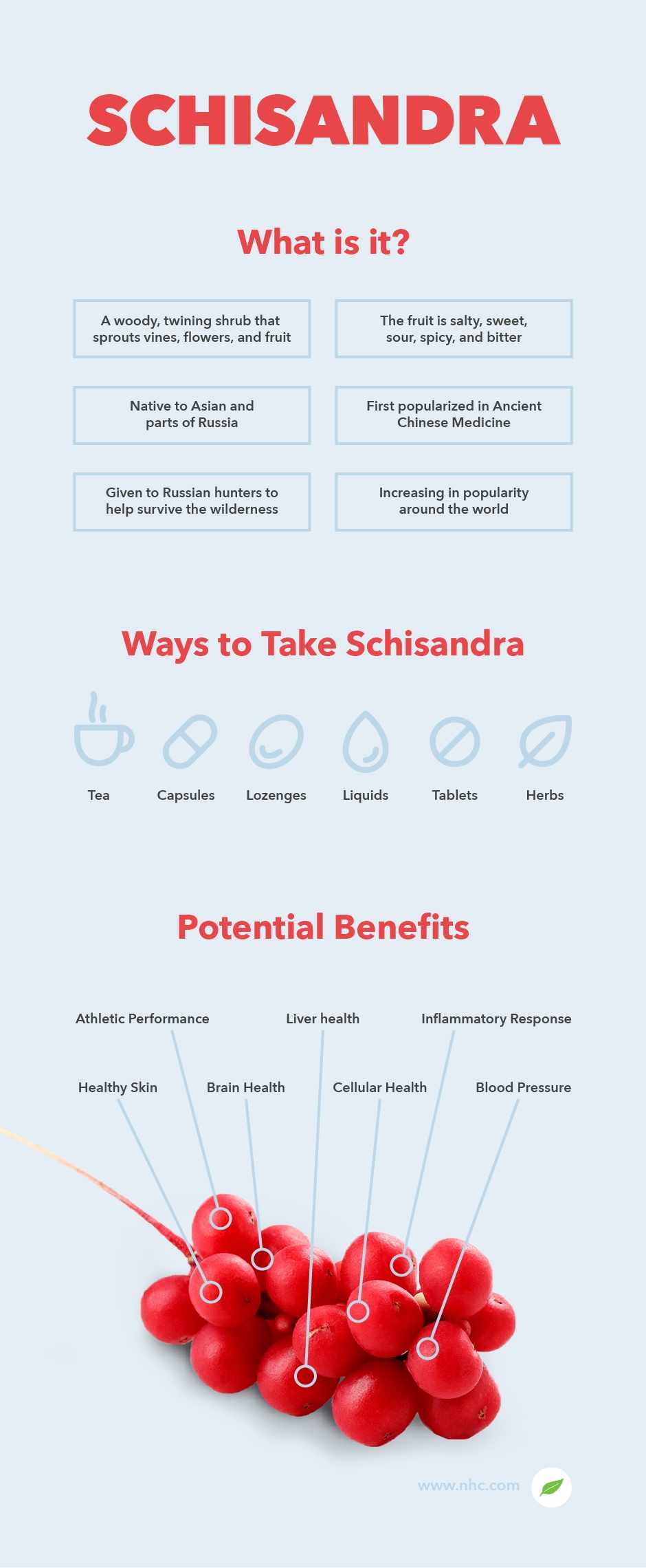 schisandra infographic