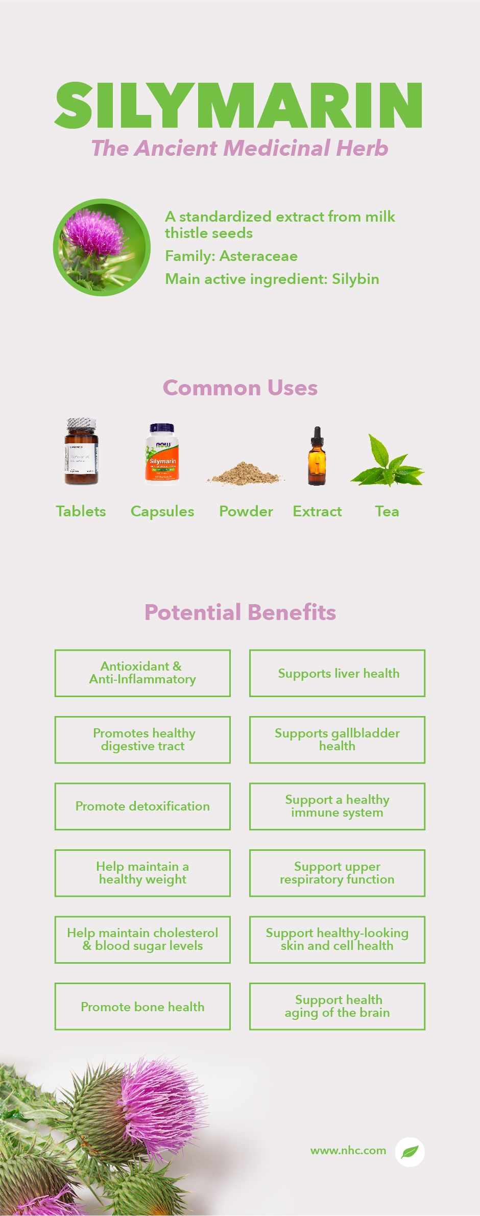 silymarin infographic