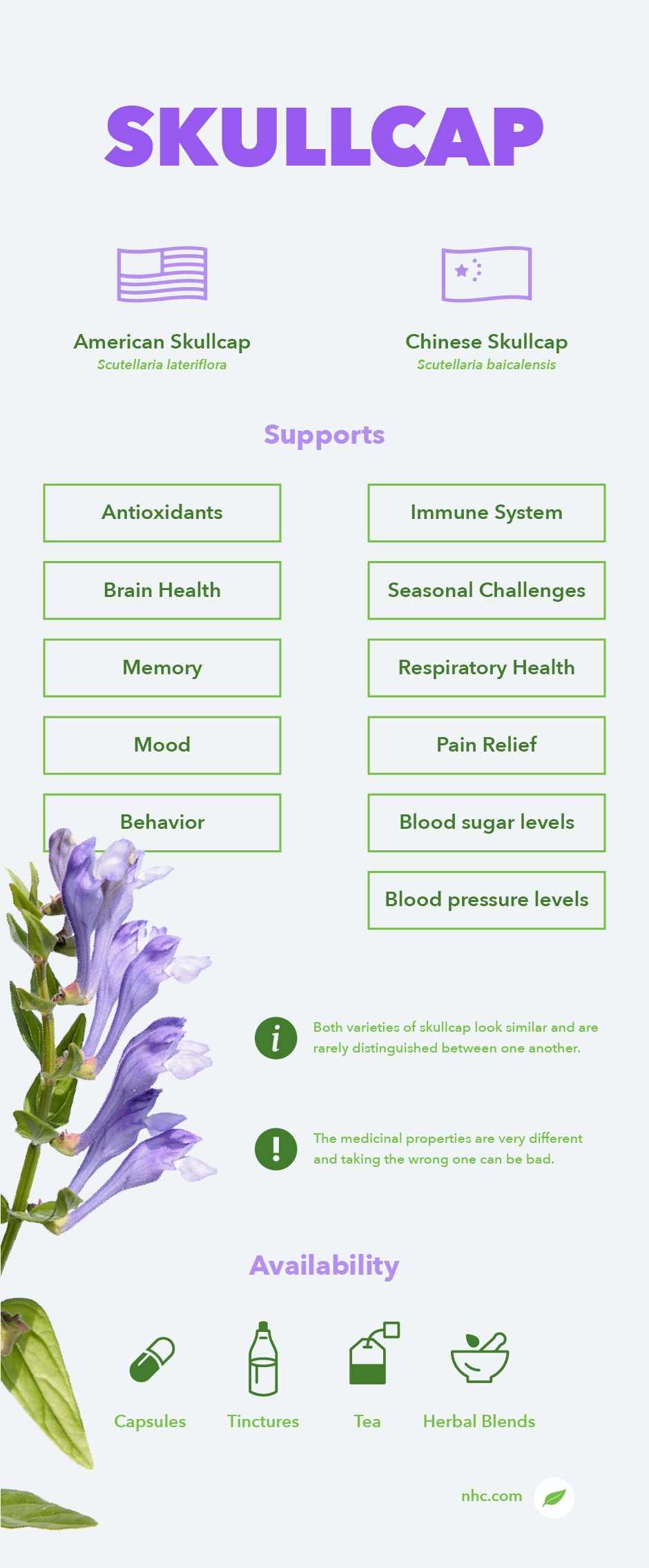 skullcap infographic