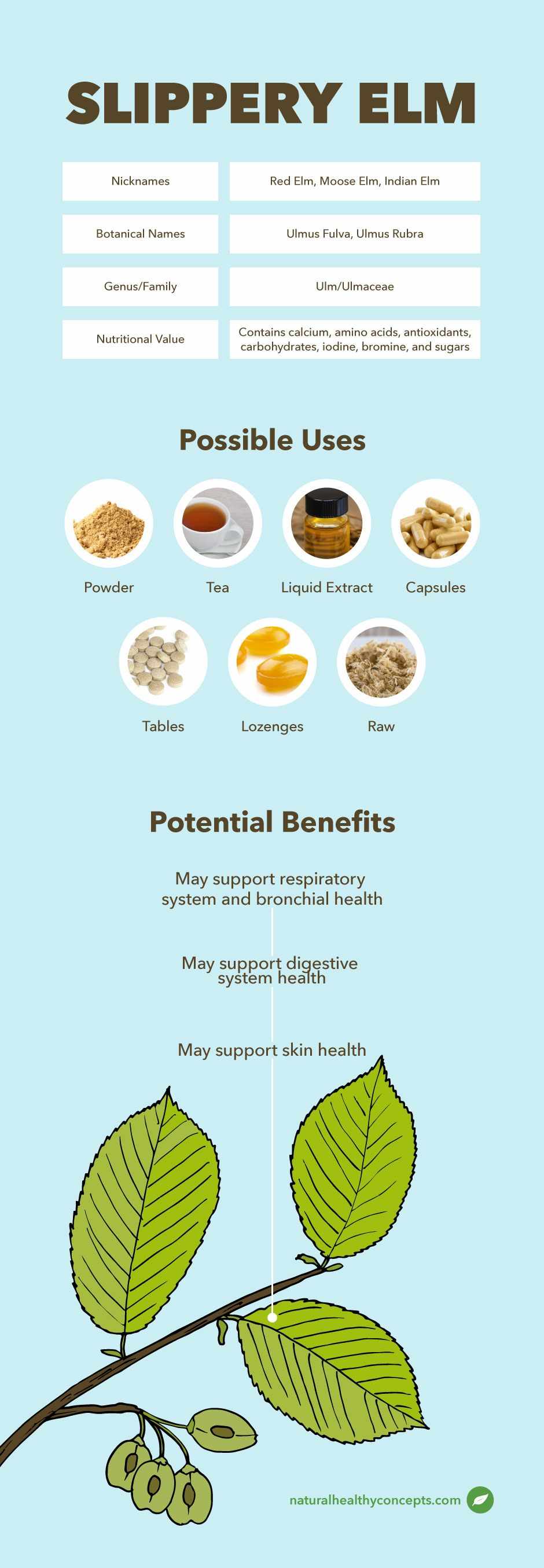 6 Slippery Elm Benefits For Health, How To Take, & Side Effects