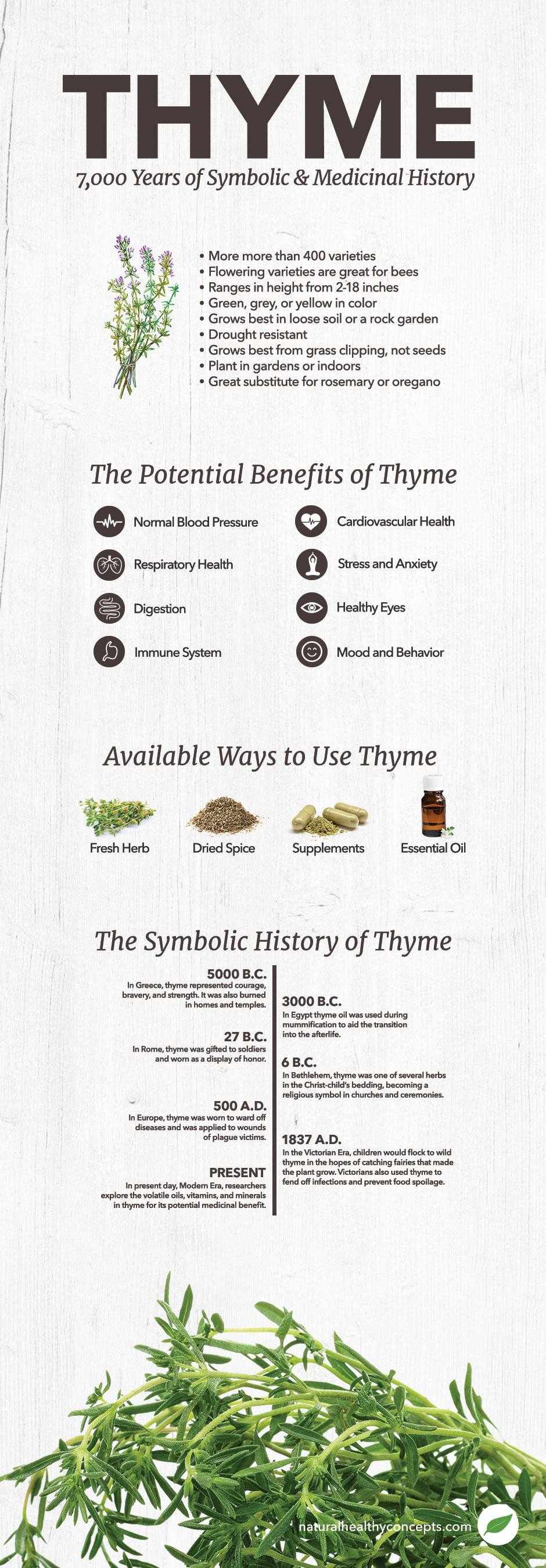 thyme infographic