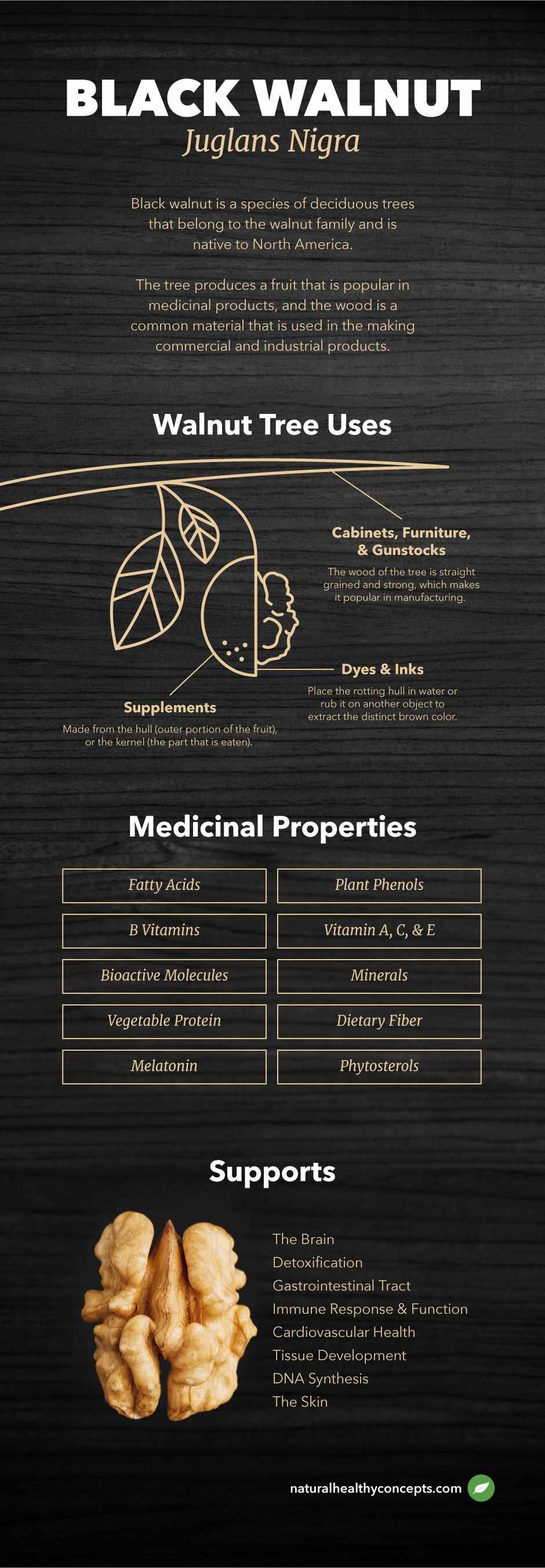 black walnut infographic