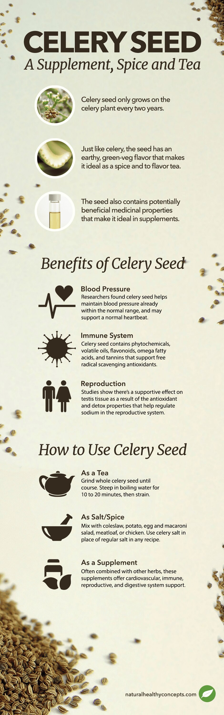 celery seed infographic