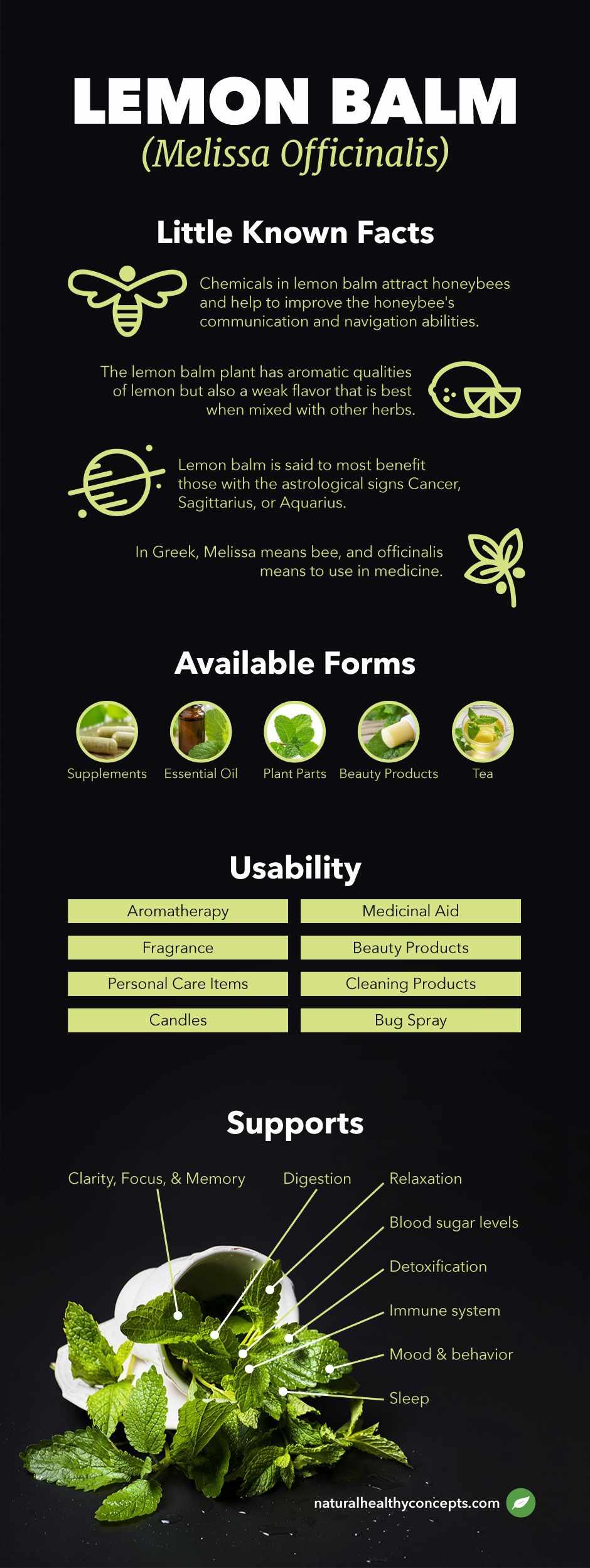 lemon balm infographic