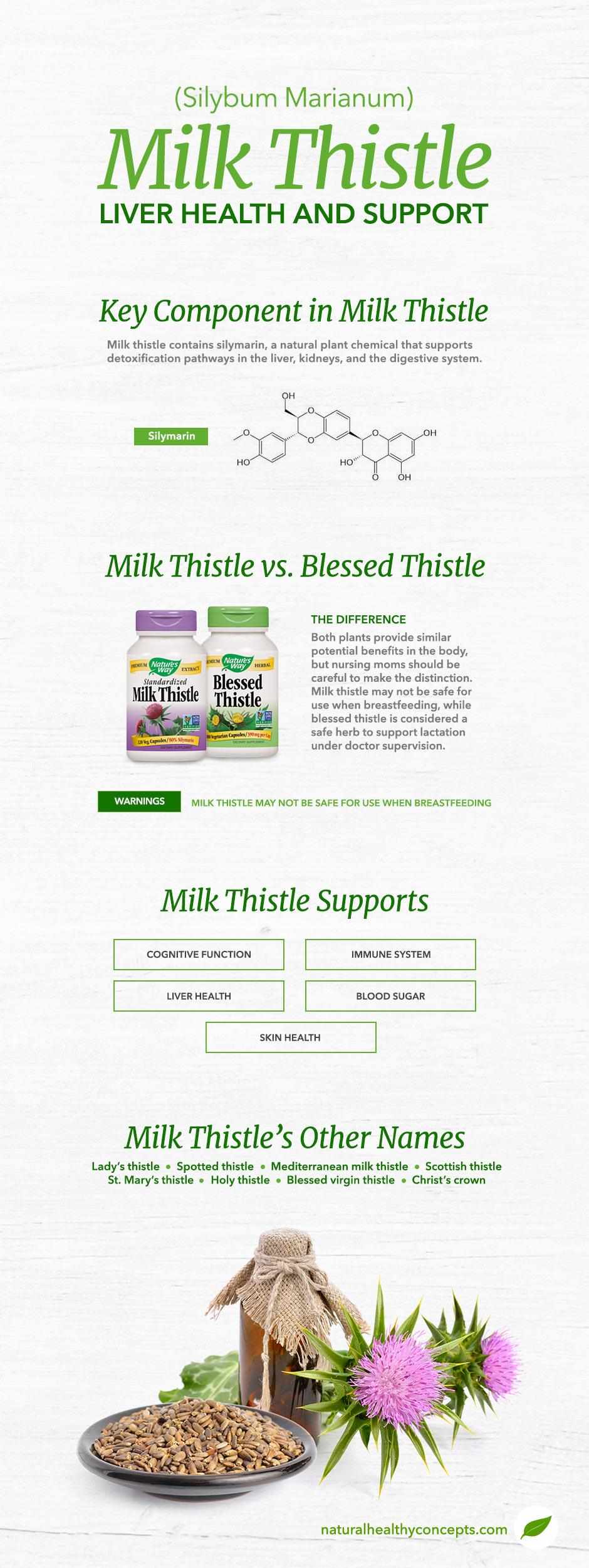 milk thistle infographic