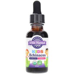 Kids Echinacea Extract 1