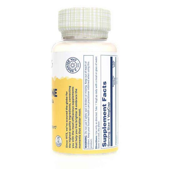 L-Theanine 200 Mg with Green Tea, 45 Veg Capsules, SLR