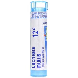 Lachesis Mutus 12C 1