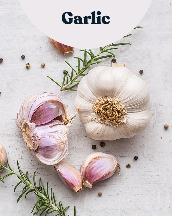 Garlic