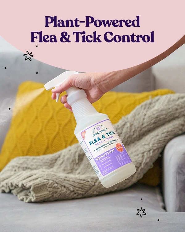 Plant-Powered Flea & Tick