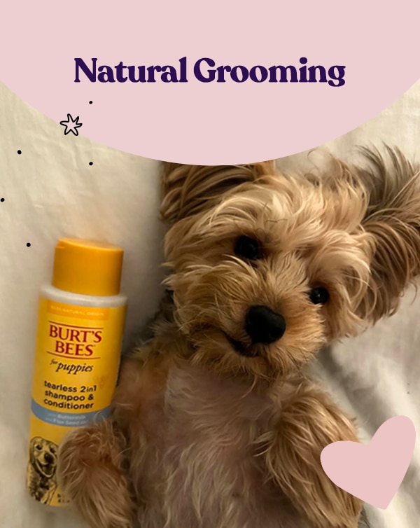 Natural Grooming
