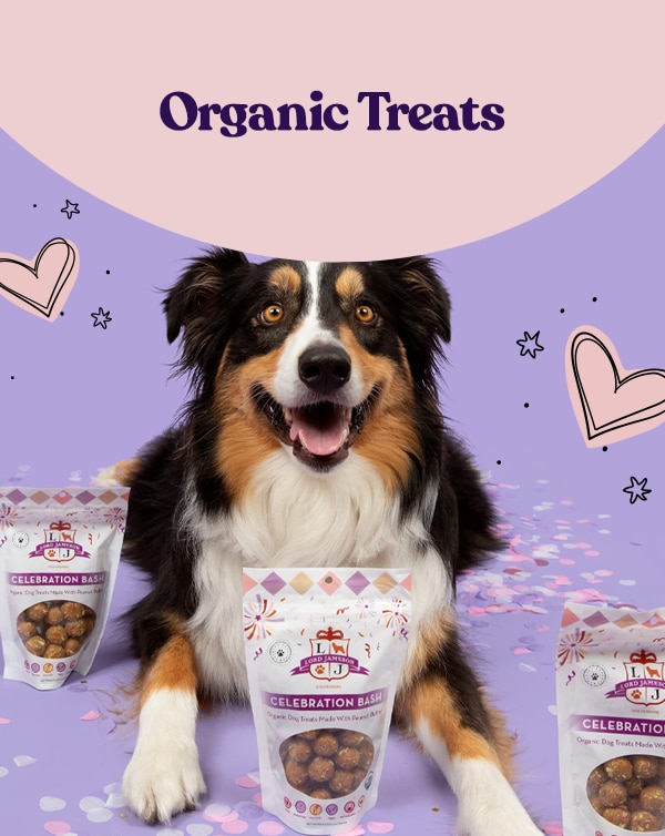 Organic Treats
