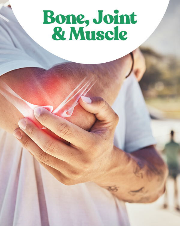 Bone, Joint, & Muscle Support