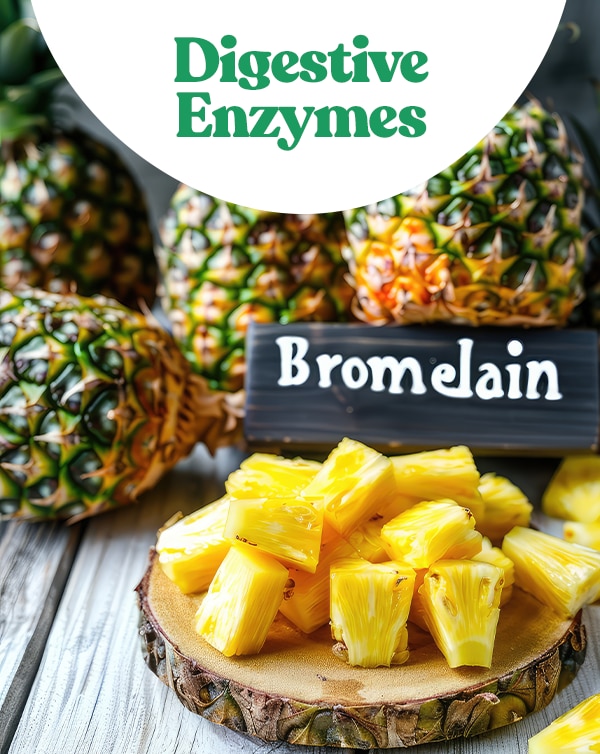 Digestive Enzymes