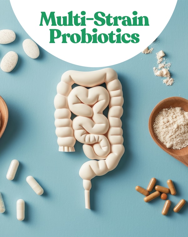 Multi-Strain Probiotcs