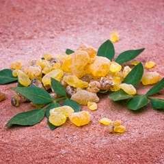 Boswellia the Natural Remedy for Inflammation