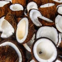 The Coconut Secret Revealed